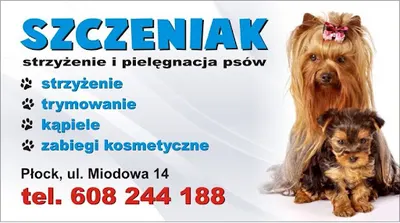 SZCZENIAK Salon Strzyżeń Dla Psów